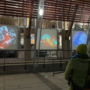 UBCO professor discusses the importance of public art