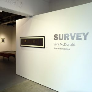 Survey installation shot