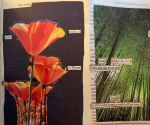 Art therapist Amy Van Dongen hosts altered book workshop