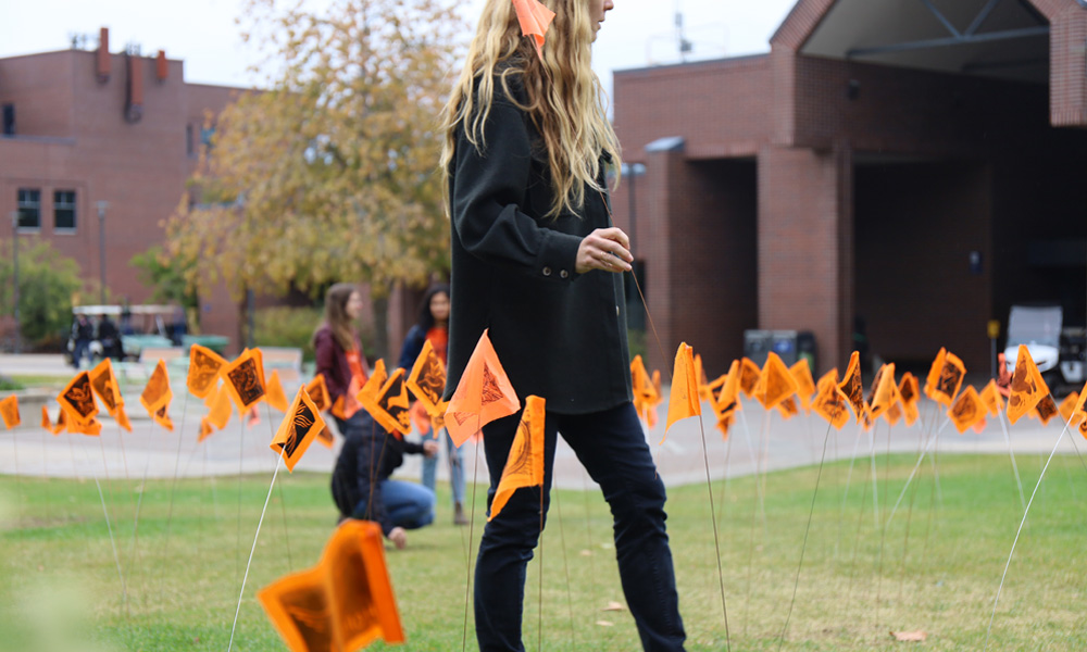 Hummingbird flag installation 2023